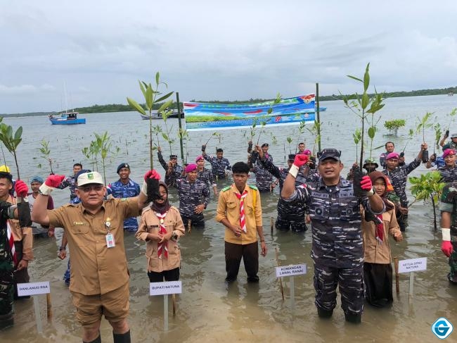 Lanal Ranai Ikut Penanaman Mangrove Serentak Dalam Rangka Hari Mangrove Sedunia